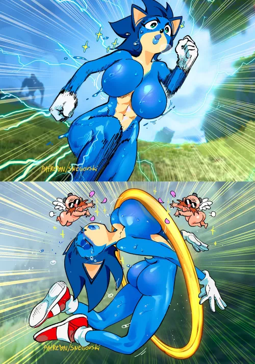 Ordinary Sonic gameplay footage (Snegovski9623)