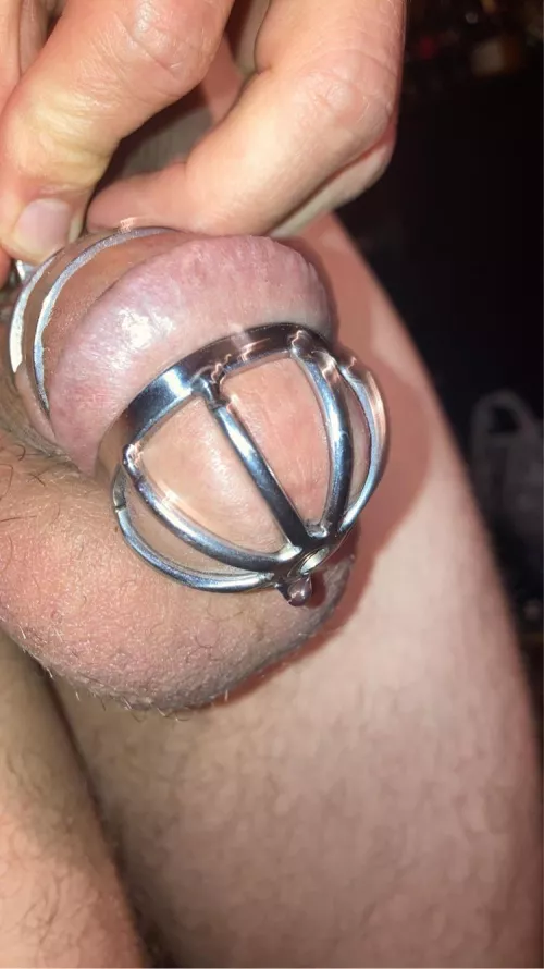 Out of town for two weeks and I left my key at home! Let the journey begin! Feel free to tease me through PMs 😈