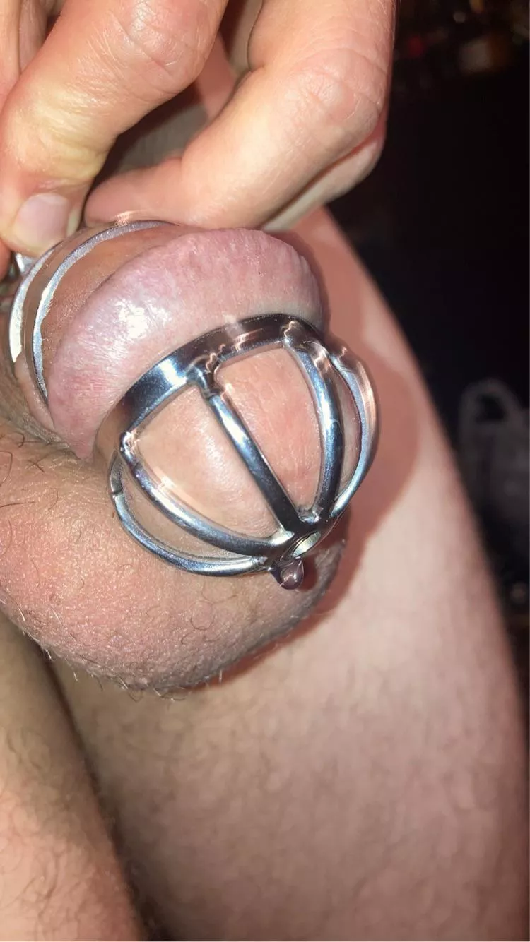 Out of town for two weeks and I left my key at home! Let the journey begin! Feel free to tease me through PMs 😈