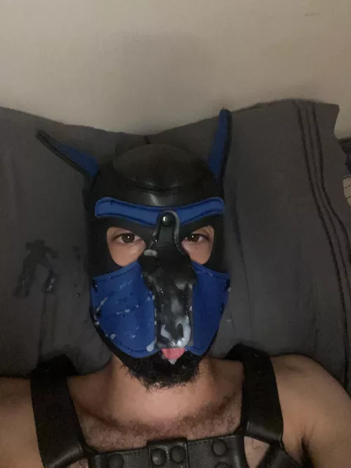 Pup had to feed himself today!