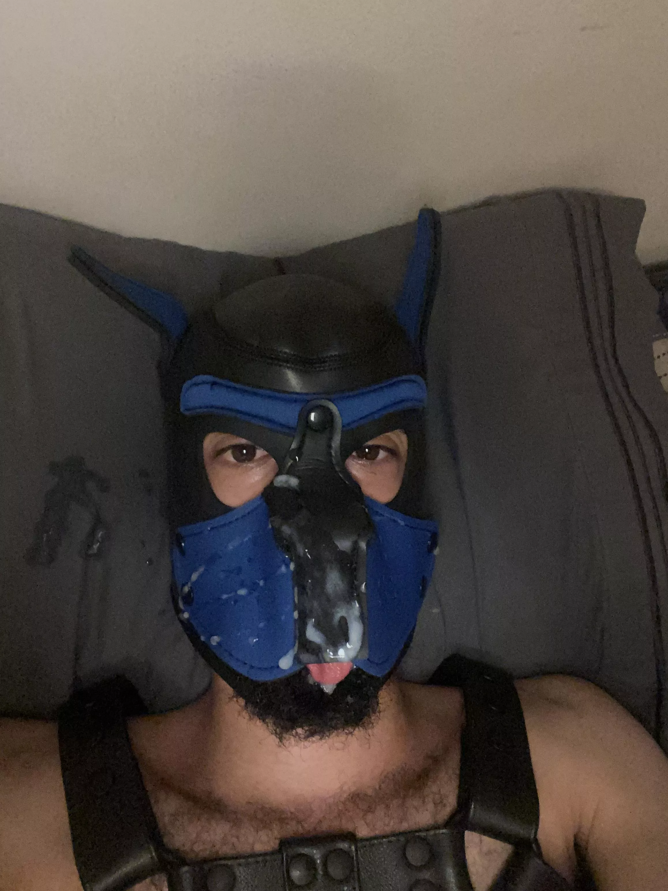 Pup had to feed himself today!