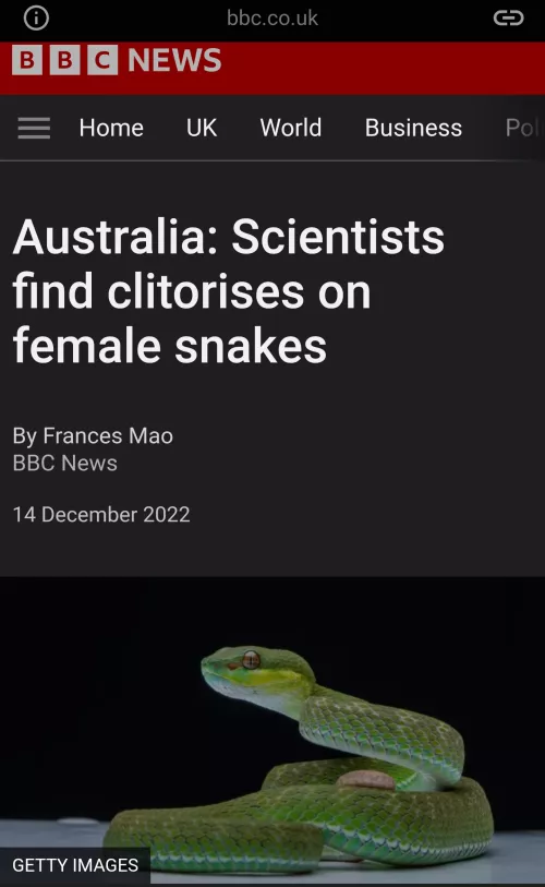 Snakes may not have snitties, but at least they have snitorises.