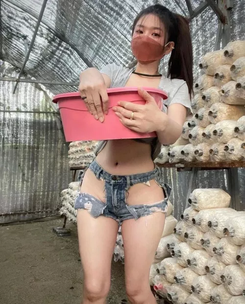 The Farmer's daughter