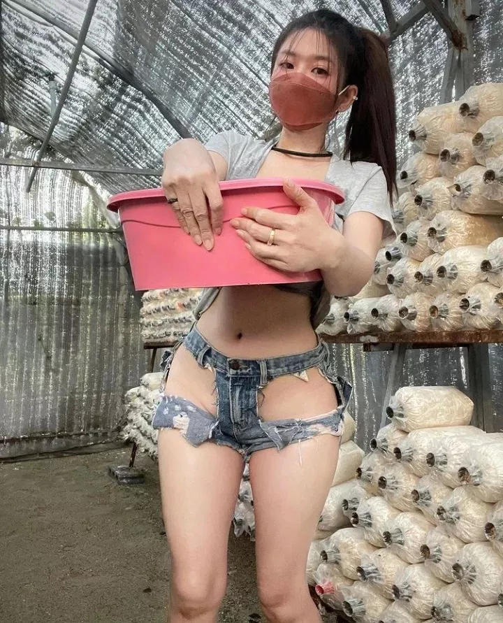 The Farmer's daughter