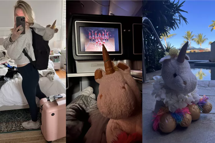 This is how bunny and unicorn travel to the beach together 🐰🦄✈️