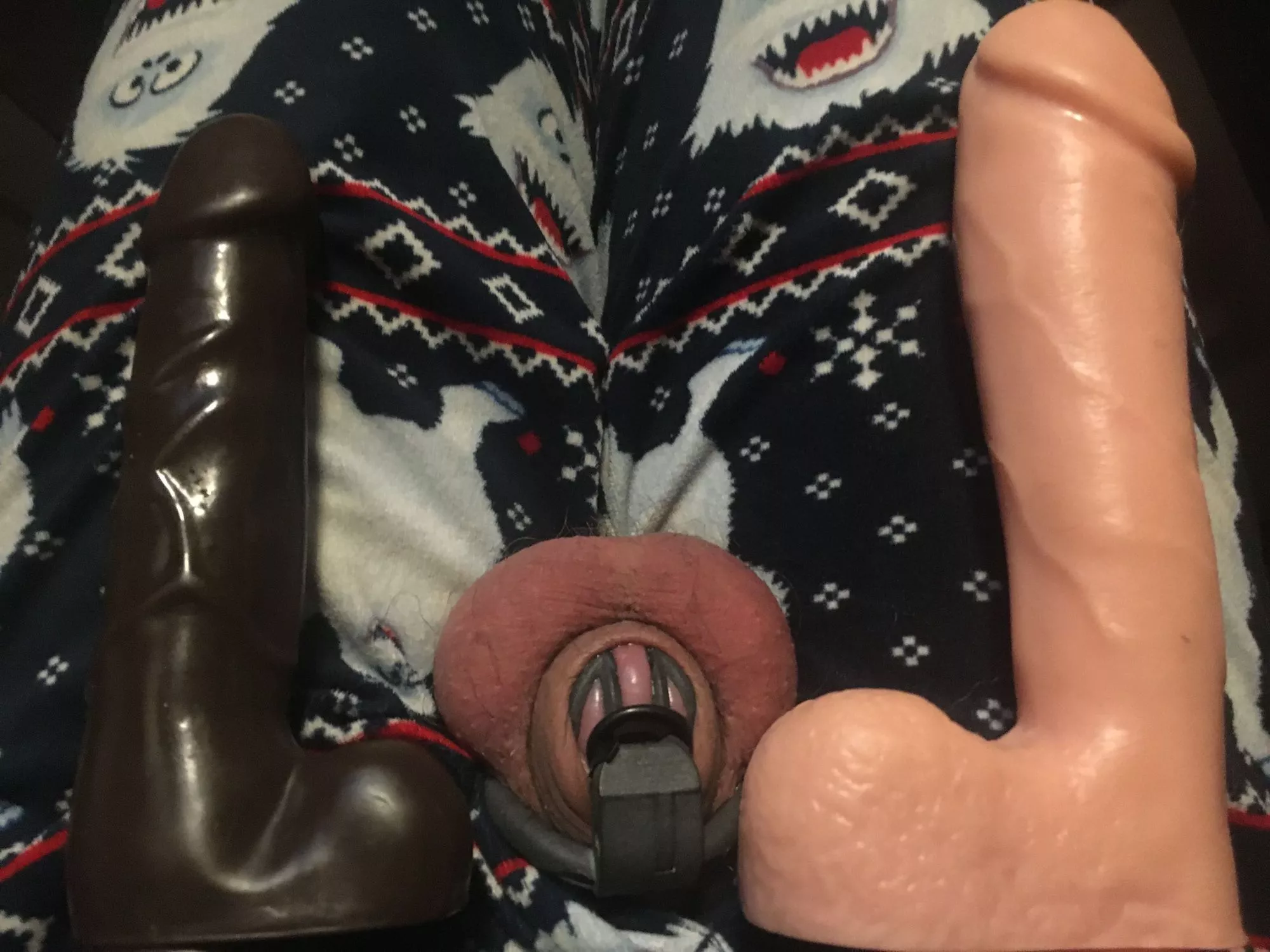 this is why beta Boys are locked. those dildos are so big!