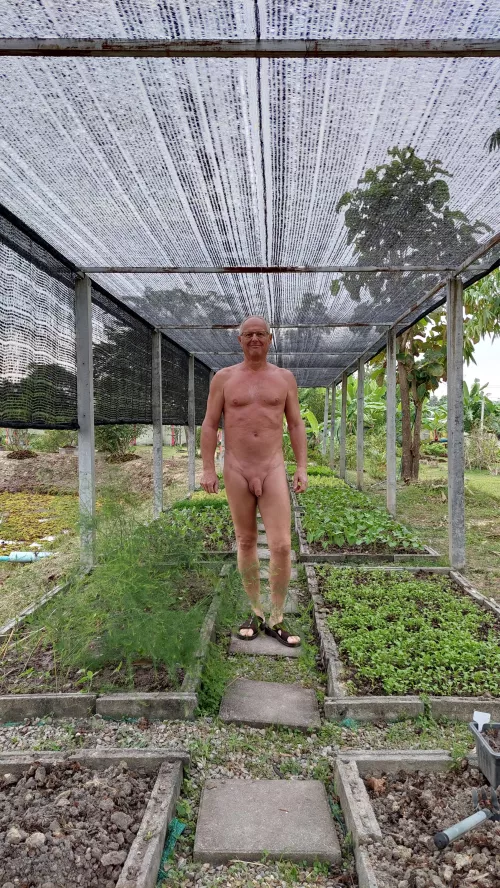 this Sunday morning, 70° F., in my vegetable garden