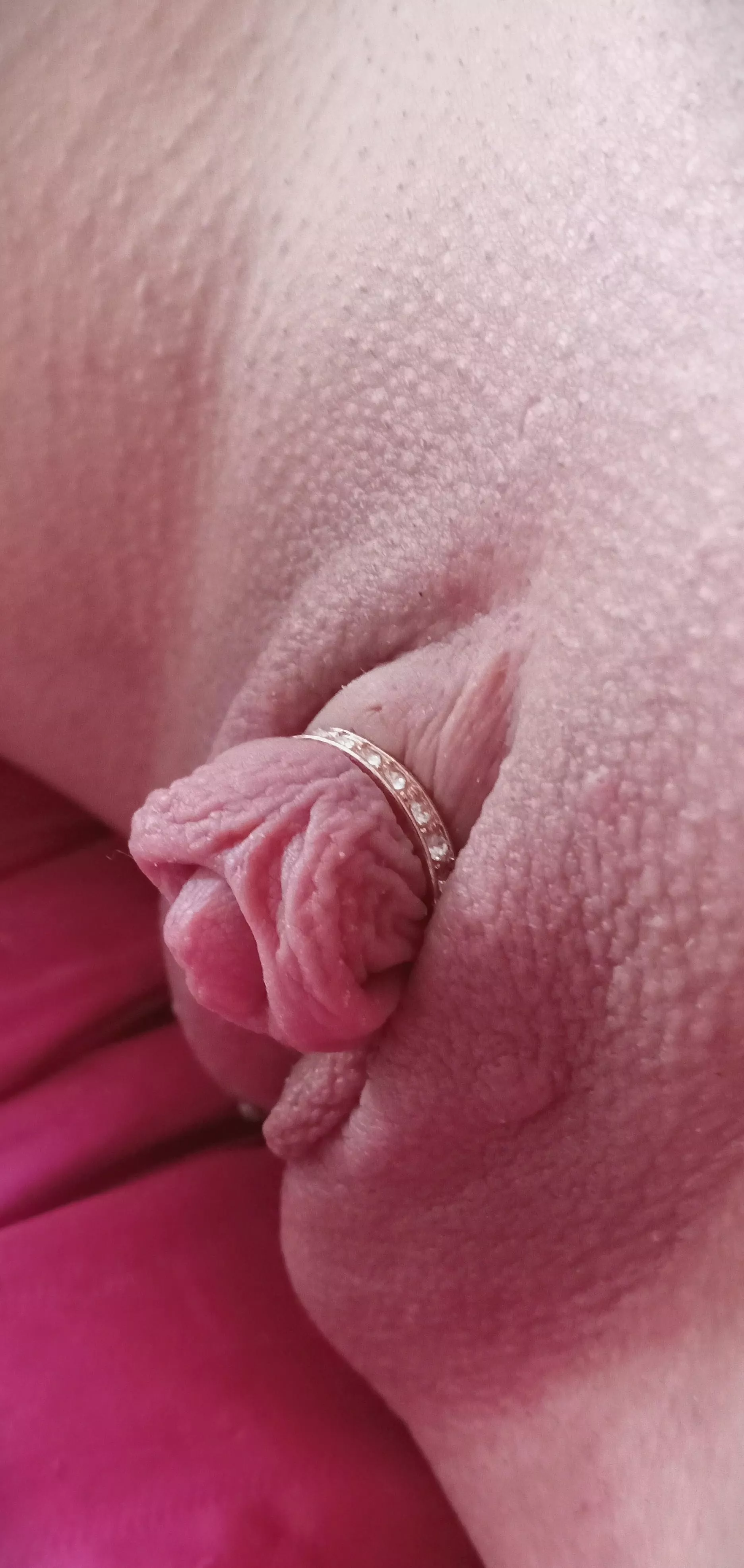 [TM] Decorations ❤️