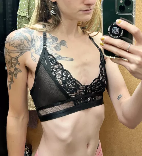 Wait, I swear they were here a second ago