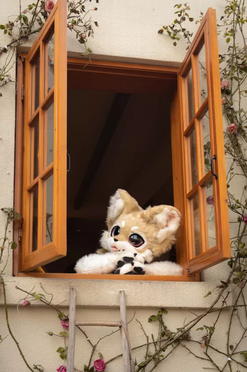 @WaldorfRinn on Twitter