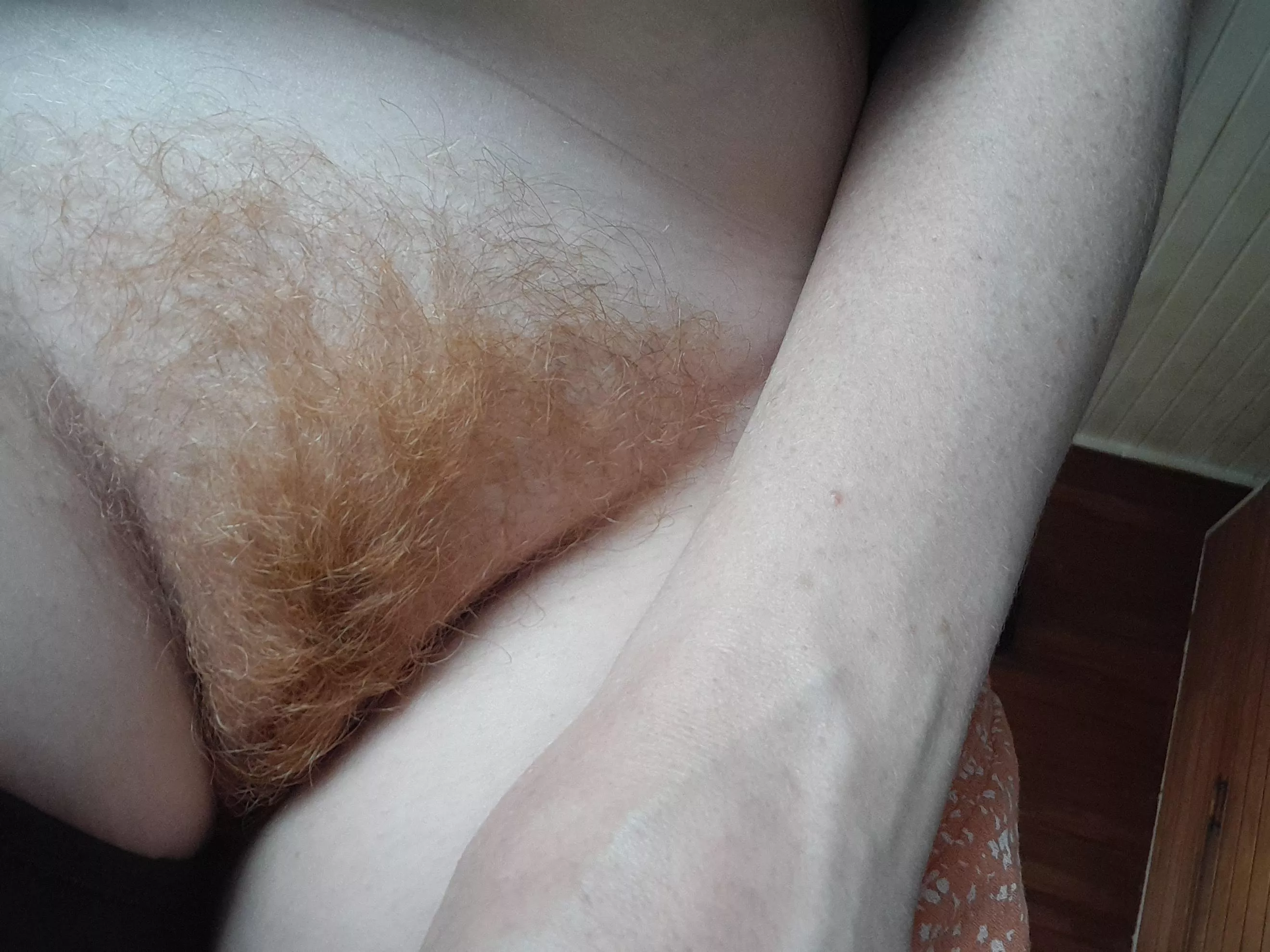 What about a hairy ginger ?