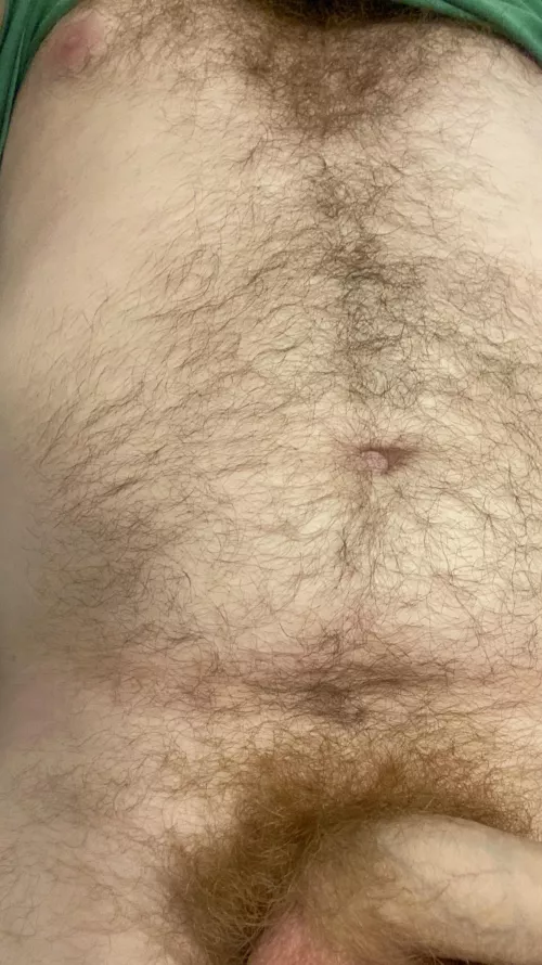 What would you rather? My hairy chest or my bush?