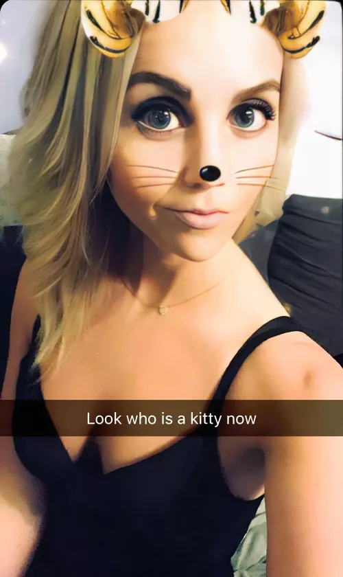 Will you take me out? 🐱