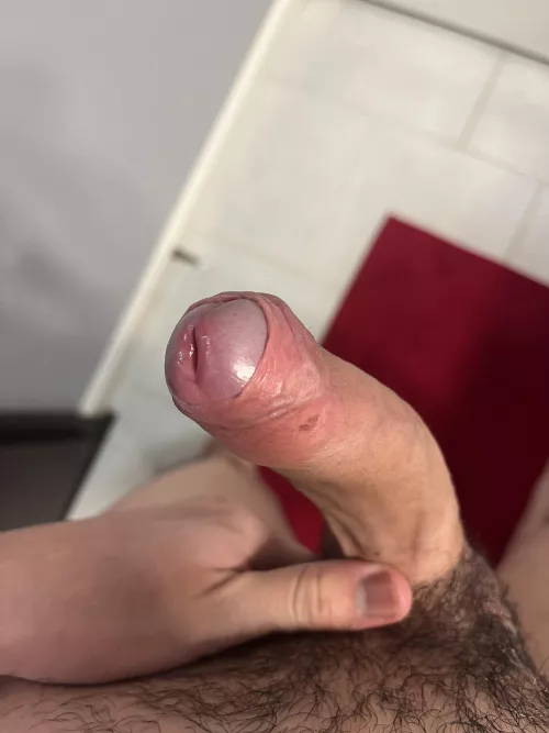 Your early wrapped gift