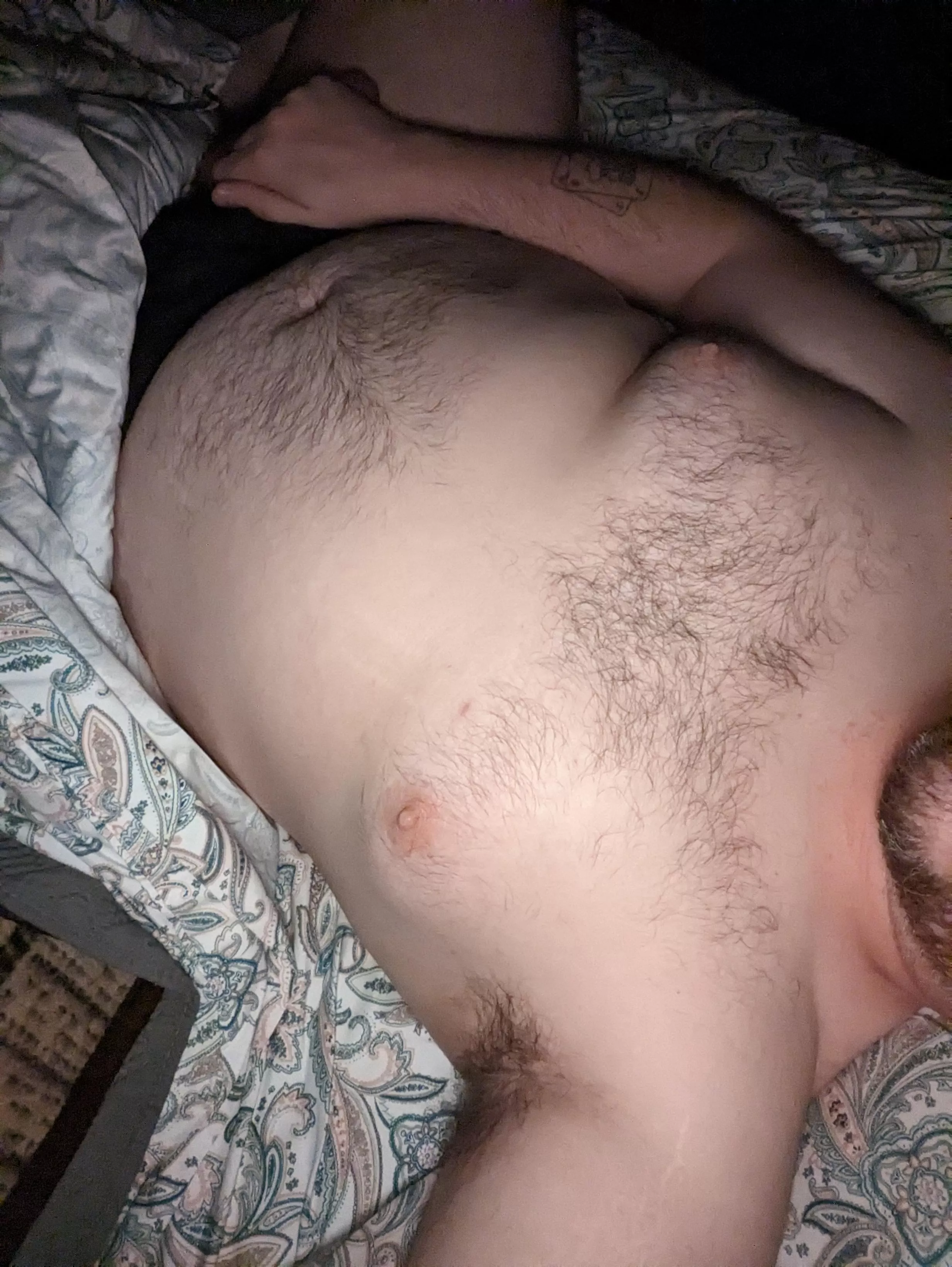 33 vers bear t_j22752