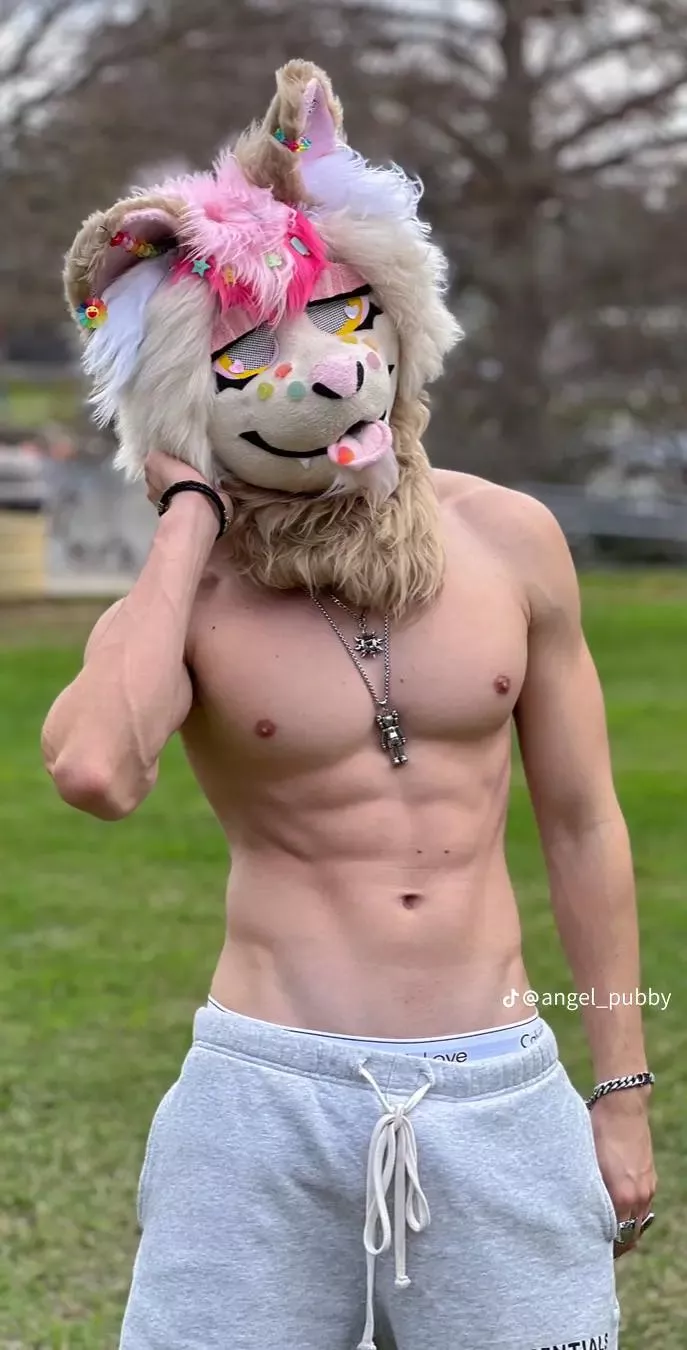 @angel_pubby on tiktok 🥵