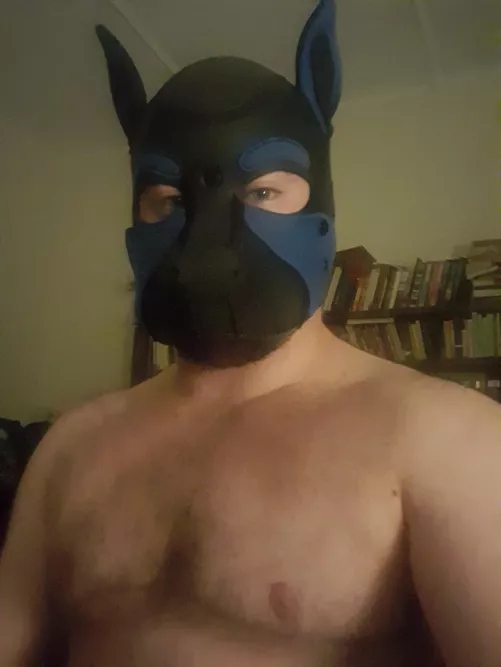 Awoooo, can I get some scritches?