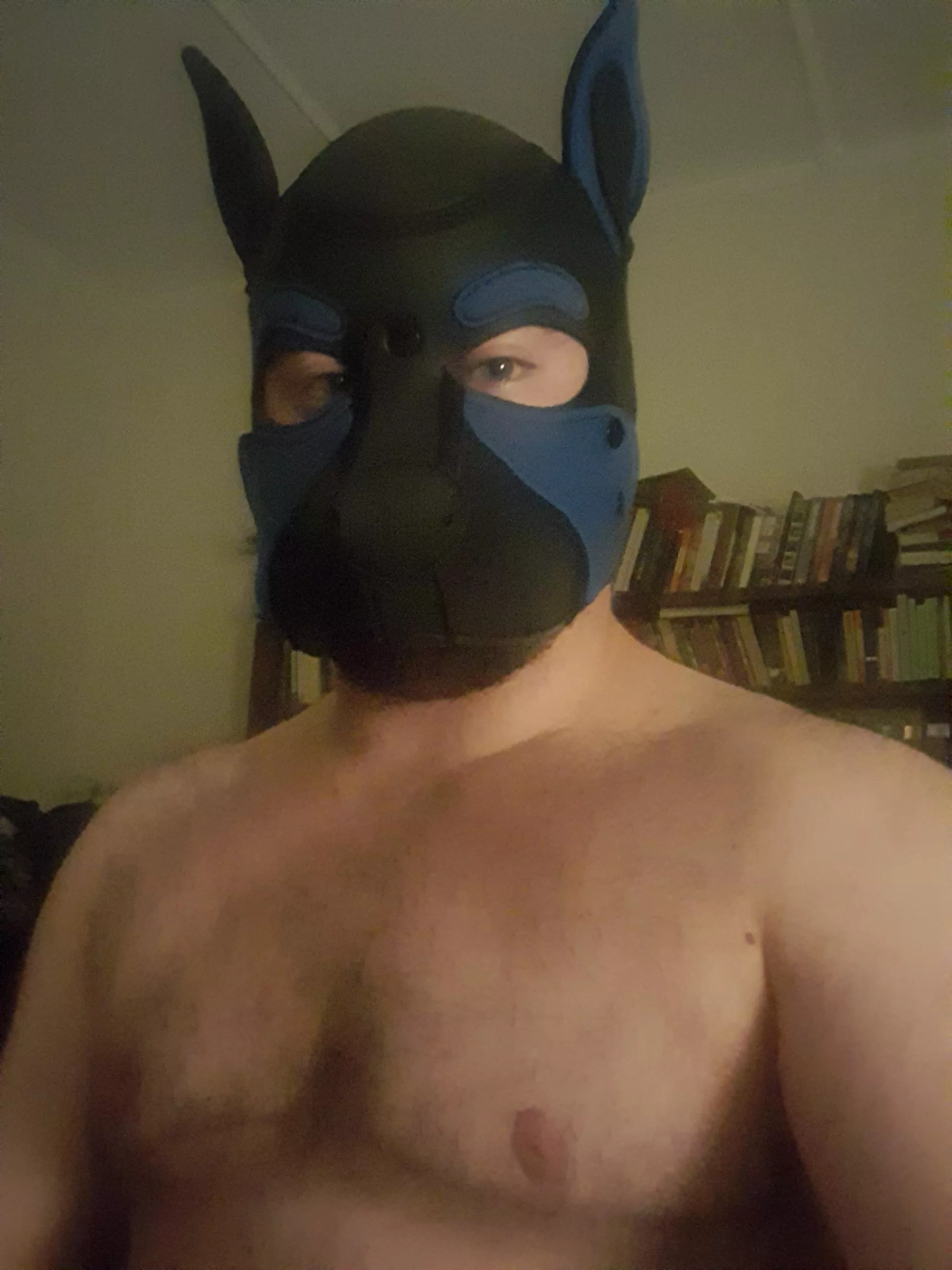 Awoooo, can I get some scritches?