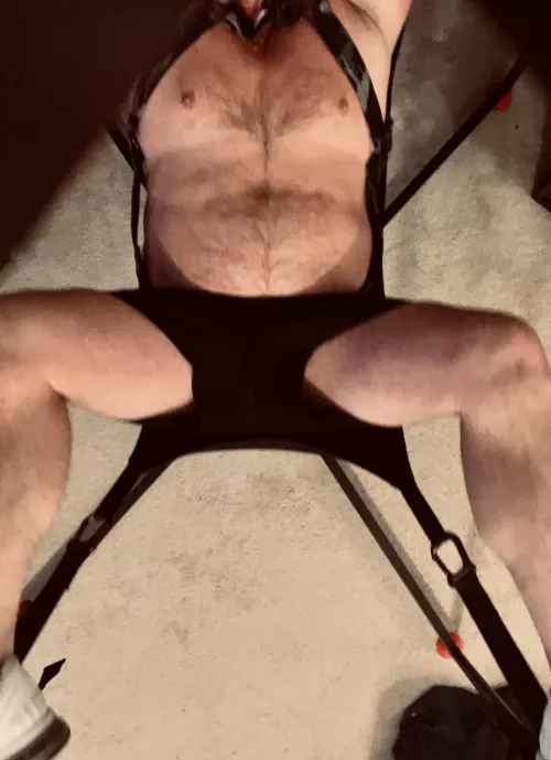 Daddy Bear in Broward is waiting for his young chaser boy