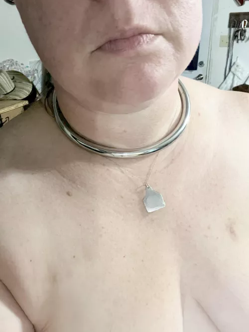 Day and Home collar 🥰🥰