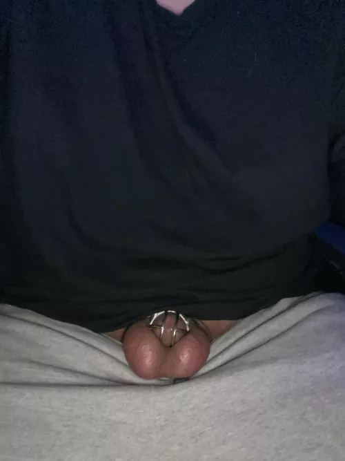 First 24 hours in a cage