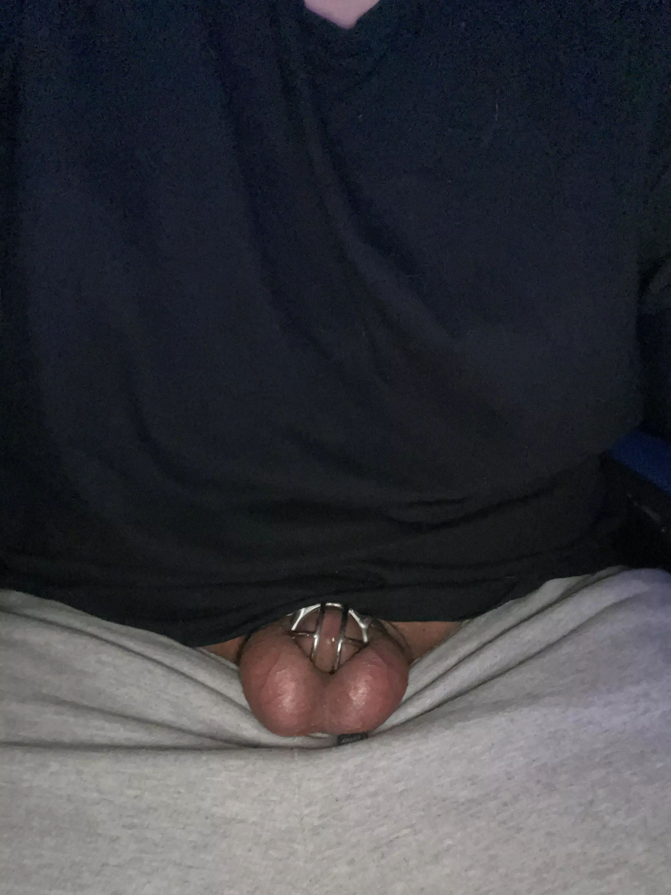 First 24 hours in a cage