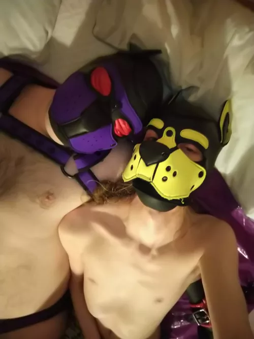 First post here, just a blindfolded pup and his owner