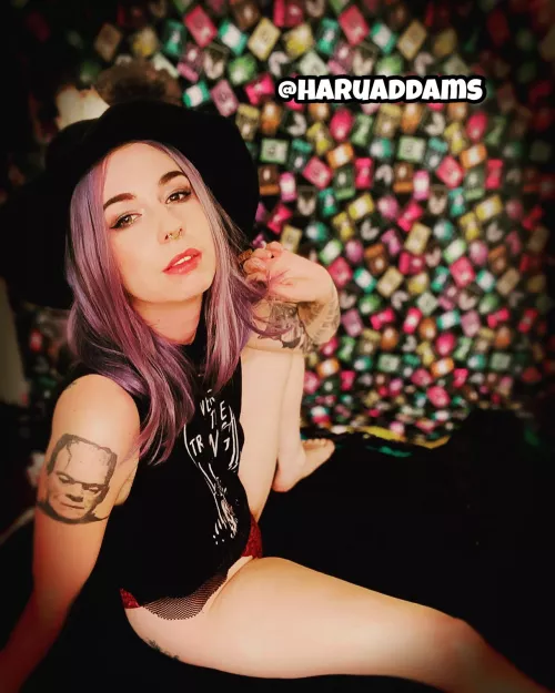 Follow my new Insta account @haruaddams (link in comments)