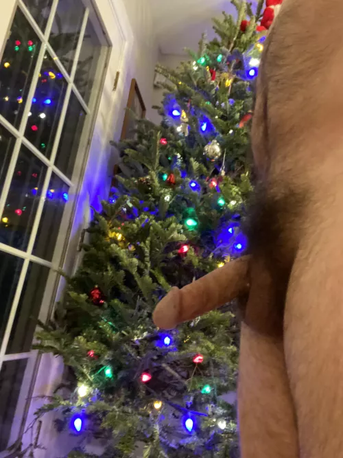 Got your Christmas present.