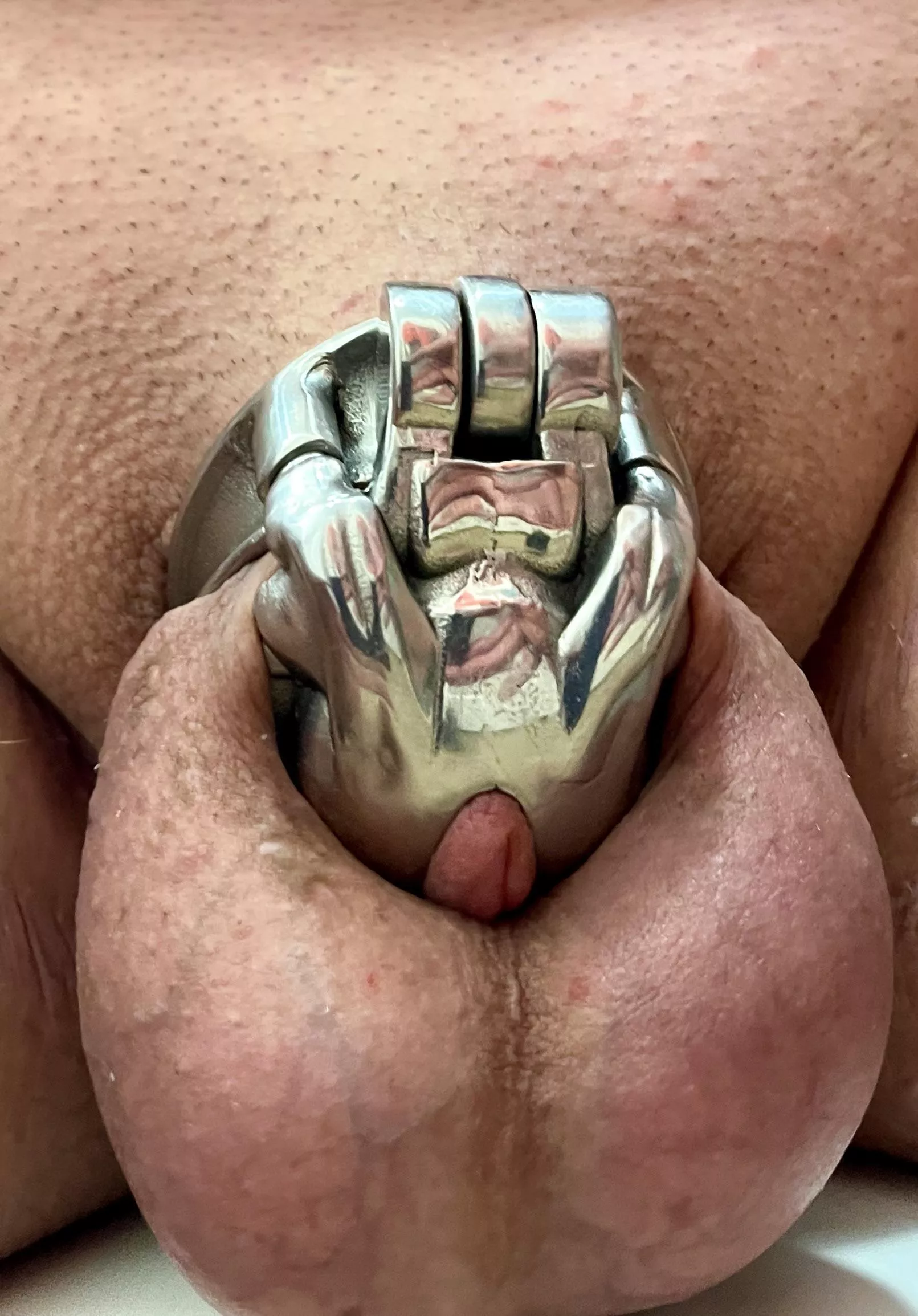 Haven’t been locked up in months & I’ve missed it so much