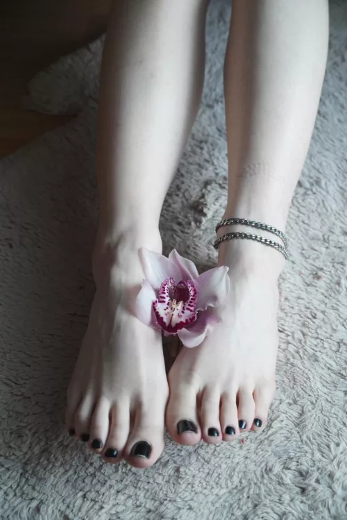 I brought a gift for you