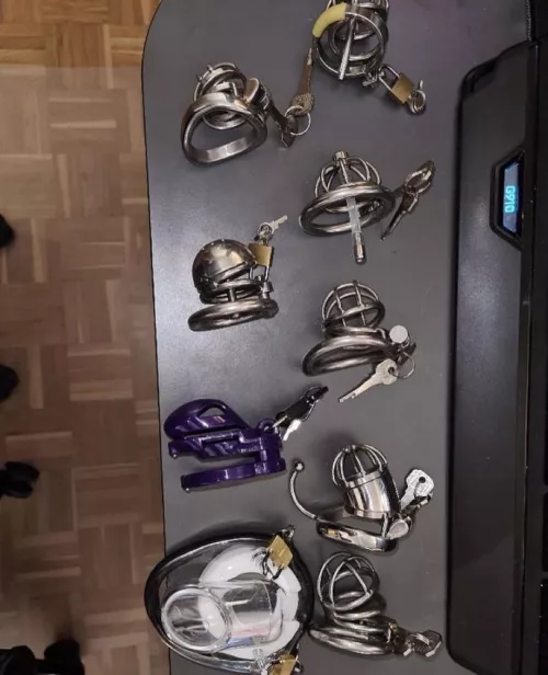 I wanna see all the little cocks locked today