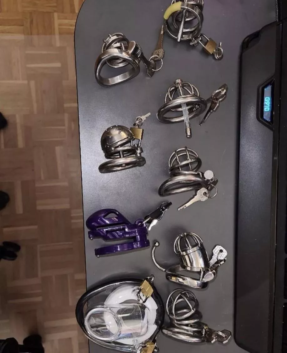 I wanna see all the little cocks locked today