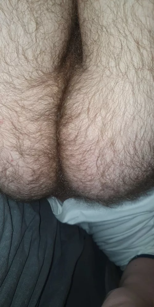 I wanna see someone eating my hairy ass (20)