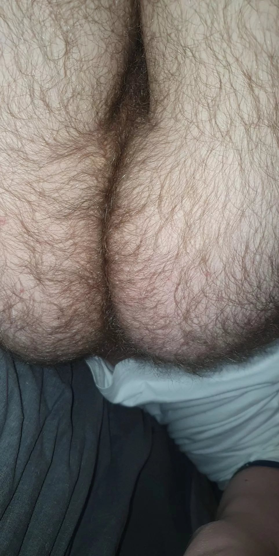 I wanna see someone eating my hairy ass (20)