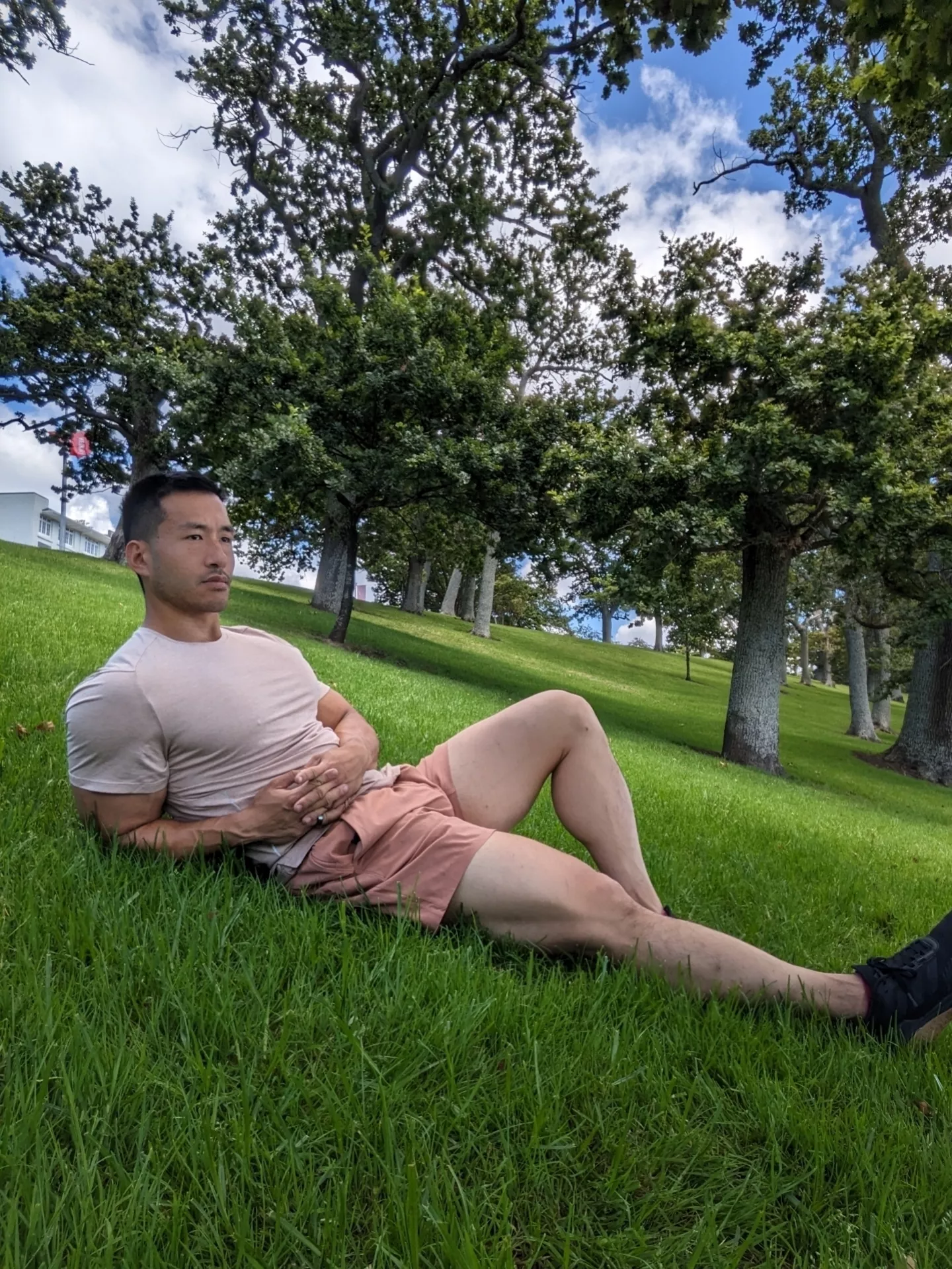 I'm in Auckland. Auckland = Oakland = Land of the Oak Trees. They're everywhere.