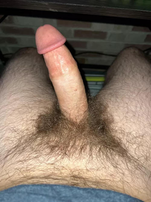 let’s suck each other off 😉