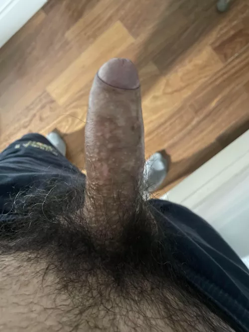 Messy pubes
