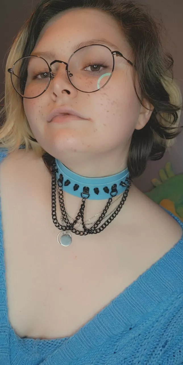 my day collar and my home collar 🥰❤️