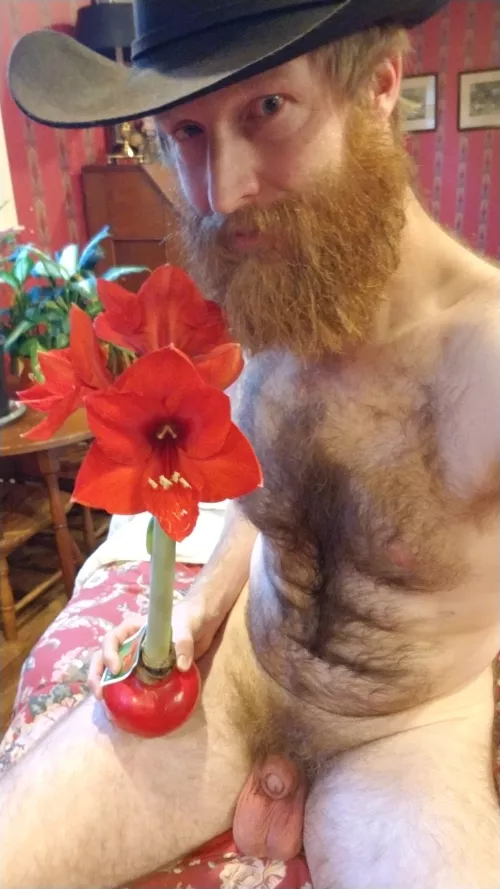 my indoor garden is blooming!