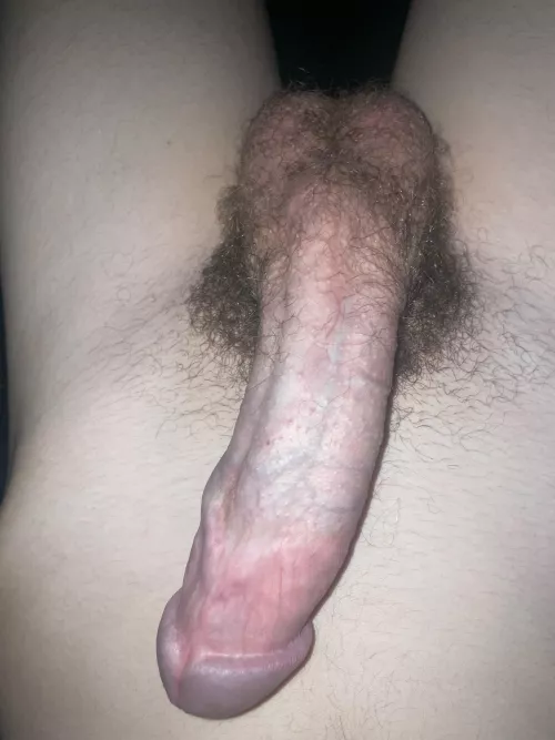 my mediocre cock