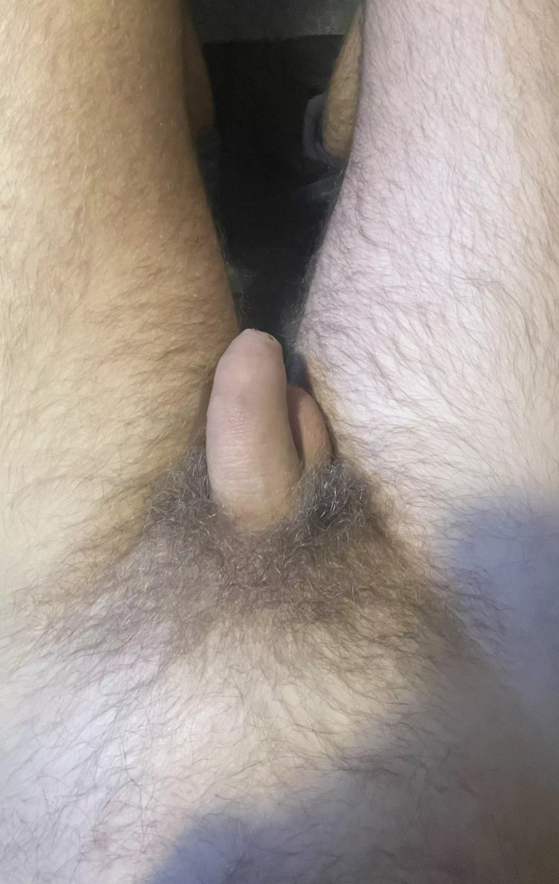 Pale and hairy
