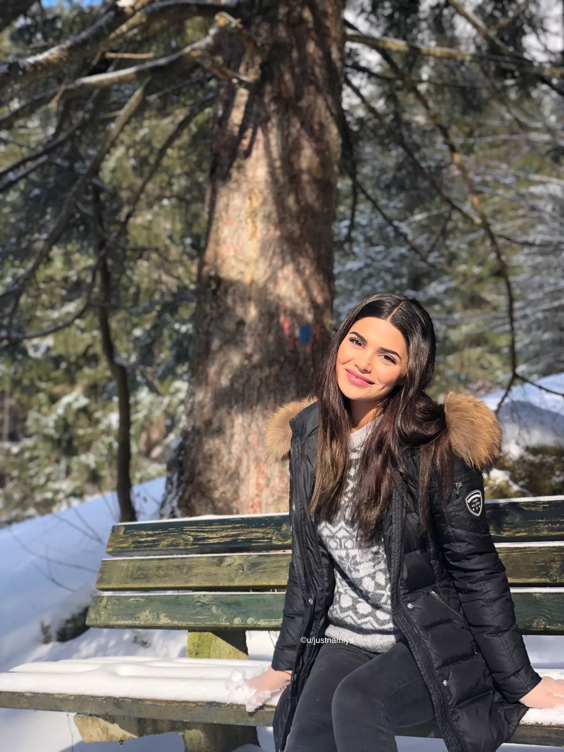 Persian x German, exploring the austrian alps