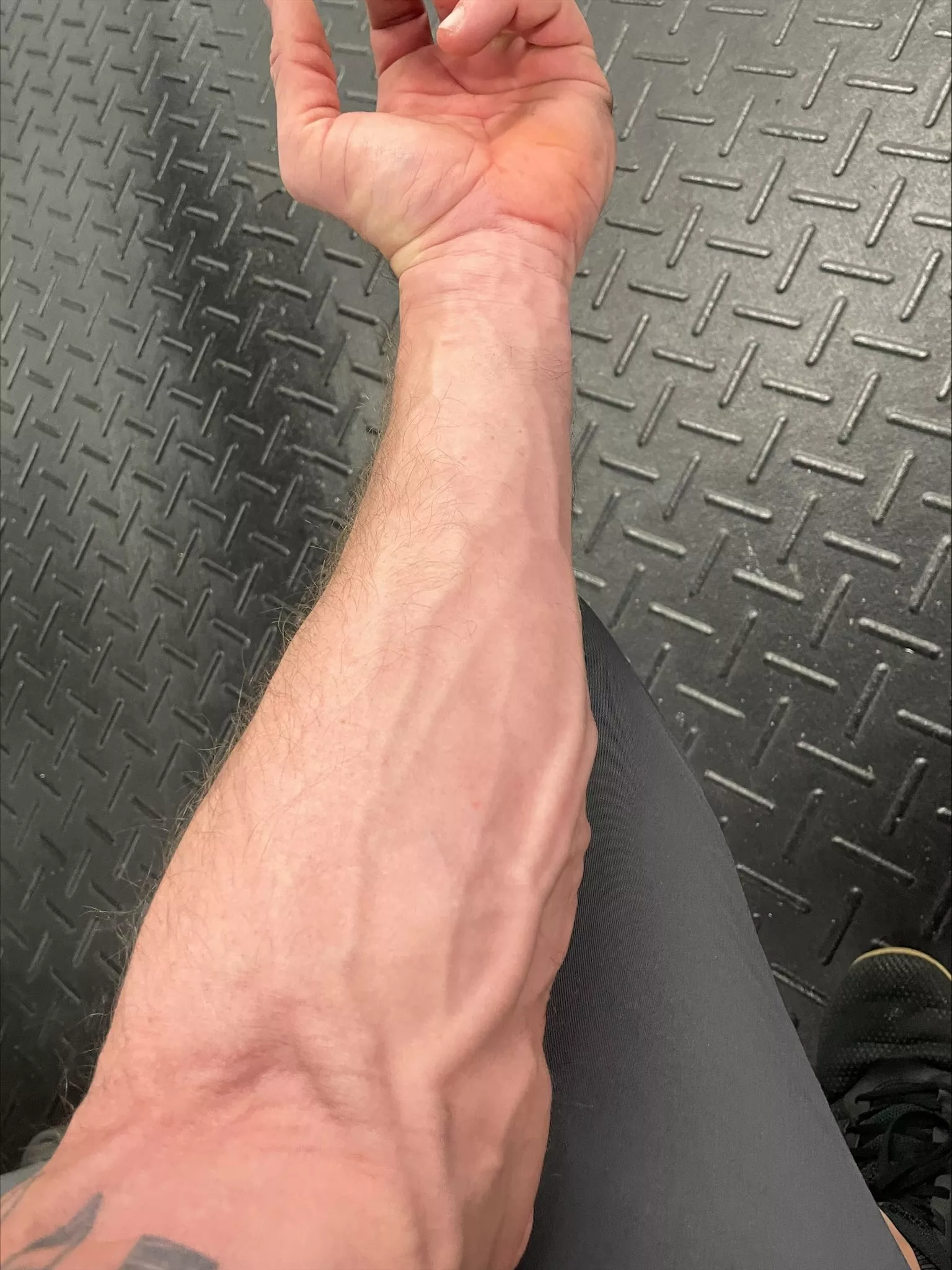 Pumped & Veiny