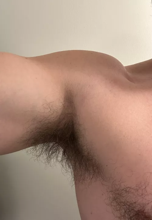 Should I ever trim again? Thinking no.