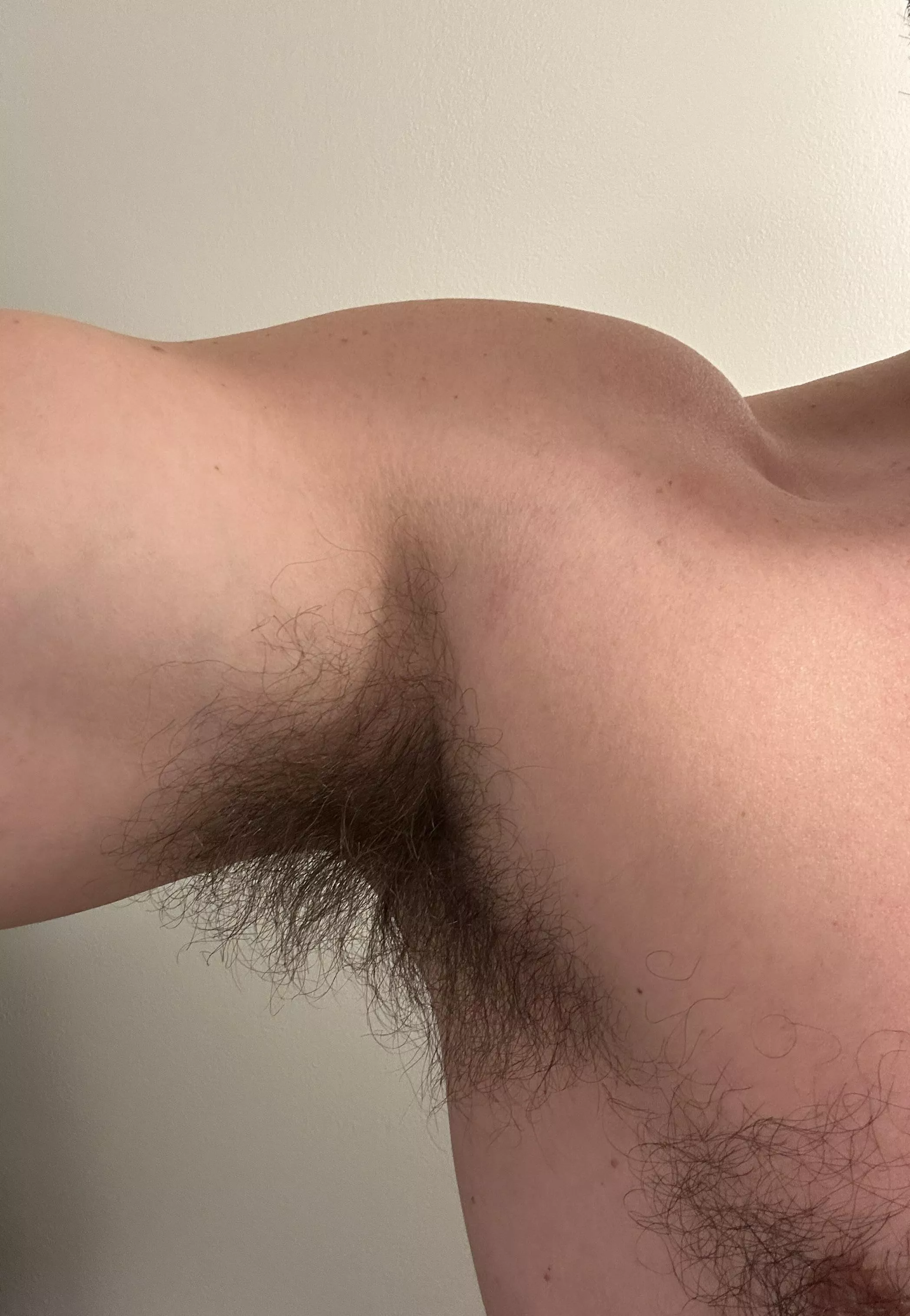 Should I ever trim again? Thinking no.