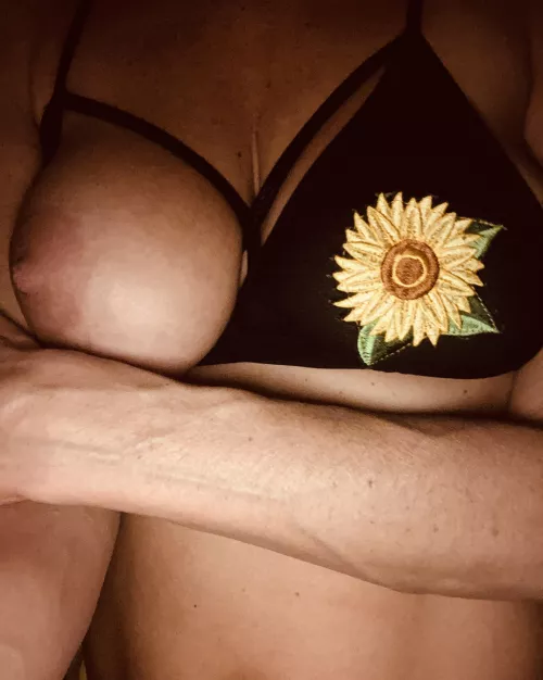 Sunflowers on a Sunday…48(f)🌻