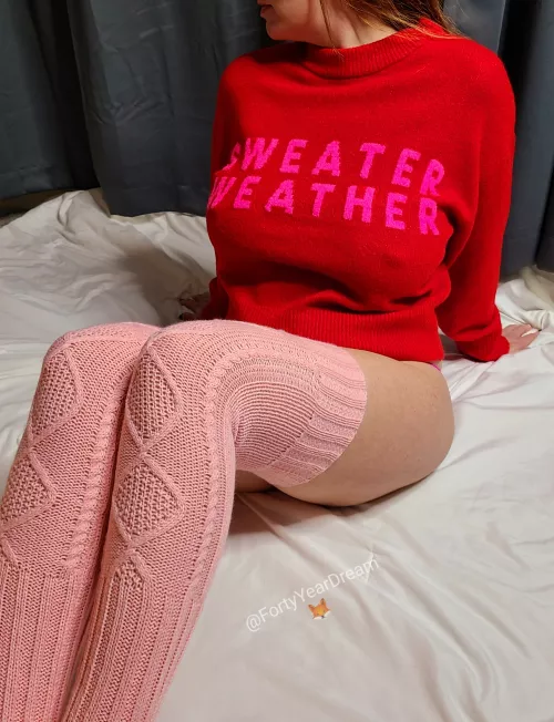 Sweater Puppy Weather 🐶 🥰 😘