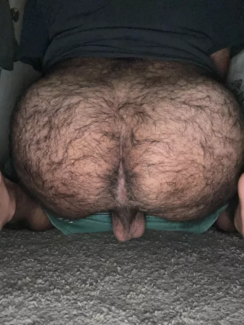 Thick otter hairy ass 😜