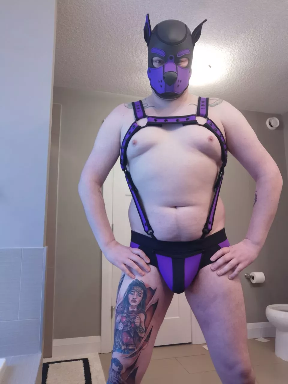 this pup needs a matching collar, and maybe some arm/thigh bands